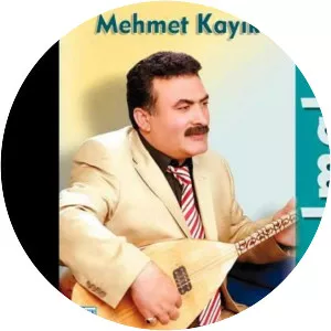 Mehmet Kayık