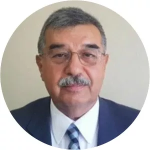 Mehmet Metanet Çulhaoğlu