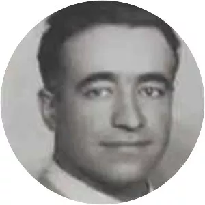 Mehmet Rauf İnan - Politician