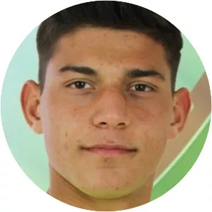 Mehmet Salih Demircan