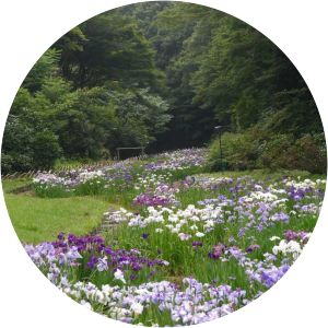 Meiji Shrine Inner Garden