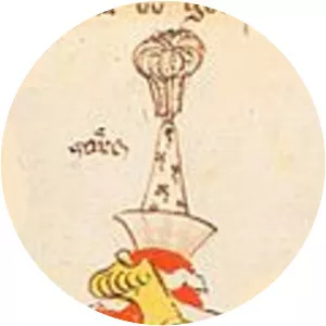 Meinhard II, Count of Gorizia