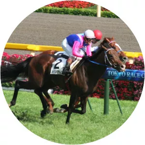 Meisho Samson - Horse