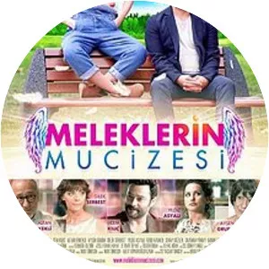 Meleklerin Mucizesi (Meleklerin . . .