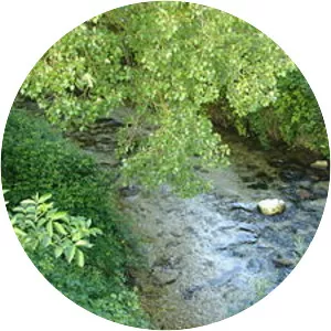 Melfa - River in Italy