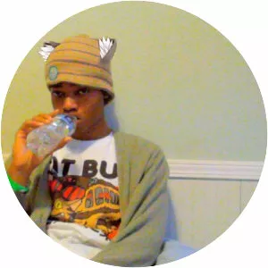 meltycanon - Musician