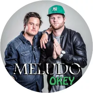 Meludo - Musical artist