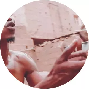 memo all star le fou