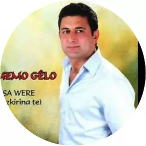 Memo Gelo