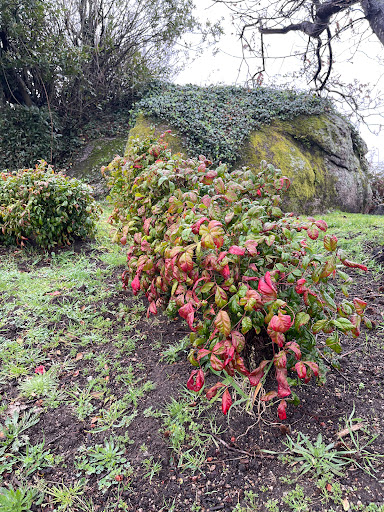 Memorial a Sir John Moore