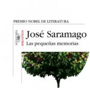 Memories of My Youth