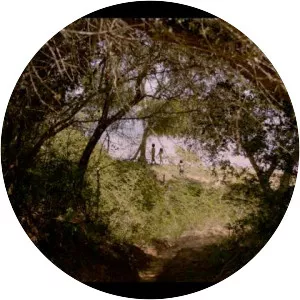 Memory Exercises - 2016 ‧ Documentary ‧ 1h 20m