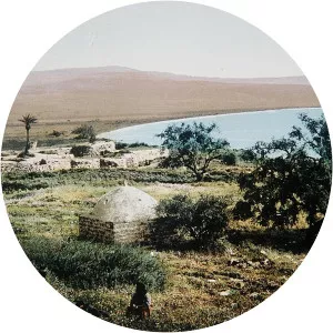 Menachem Mendel of Vitebsk