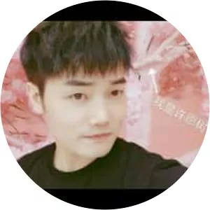 Mengyuan Xu - Musical artist