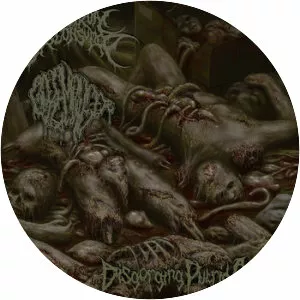 Menstrual Disconsumed - Musical artist