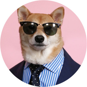 Menswear Dog - Shiba inu