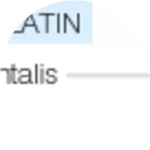 Mental HR - Consultancy