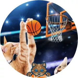 Meow MadnessSince 2017