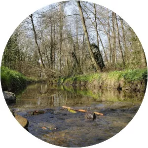 Mérantaise (La Mérantaise)