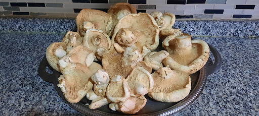 Mercan Gida - Grocery store