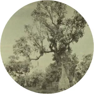 Merchants Millpond - Lake in North Carolina