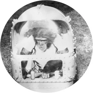 Mercury-Redstone 2 - January 31, 1961, 6:55 PM GMT+2