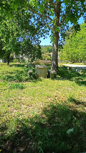 Merendeiro de Crecente - Park in Spain