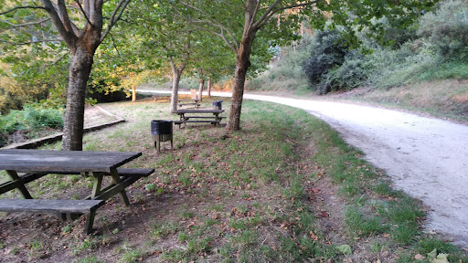 Merendeiro de Xunconovo - Park in Spain
