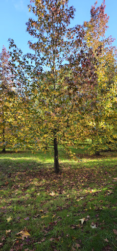 Merendero de Andel - Park in Spain