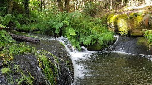 Merendero de Ois - Park in Spain
