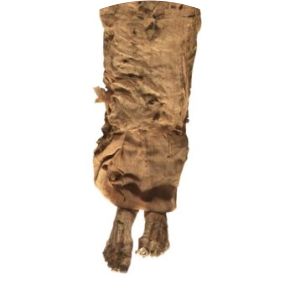 Merenptah photograph