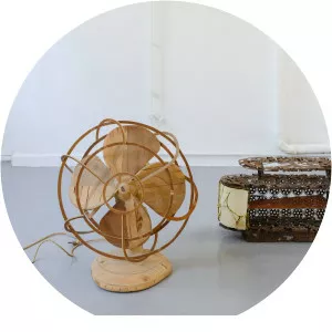 Merijn Olivier Bolink