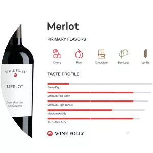 Merlot - Wine grape