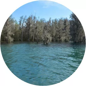 Merritts Mill Pond - Pond in Florida