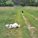 Merryspring Nature Center