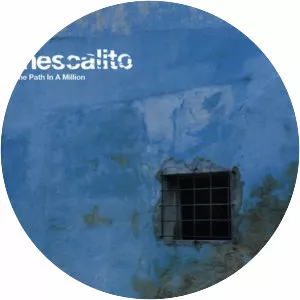 modern day soulja mescalito