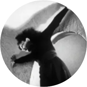 Meshes of the Afternoon