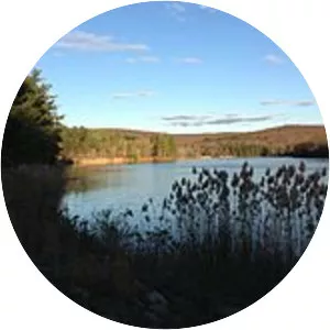 Meshomasic State Forest - 