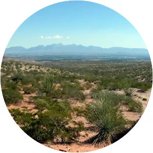 Mesilla Valley - 