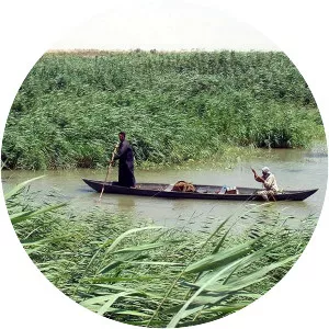 Mesopotamian Marshes - 