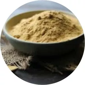 Mesquite flour photograph