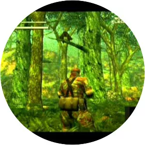 Metal Gear Solid 3: Subsistence