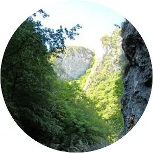 Metaliferi Mountains - 