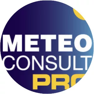 METEO CONSULT S. A. S.