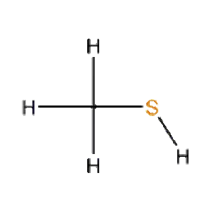 Methanethiol - Chemical compound