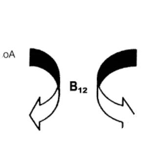 Methylmalonic acid - 