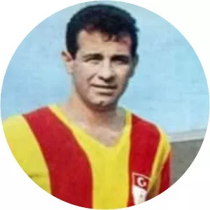 Metin Oktay