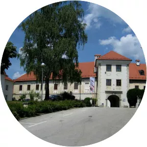 Metlika Castle