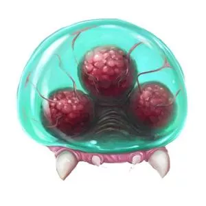 Metroid Hatchling - 