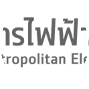 Metropolitan Electricity Authority